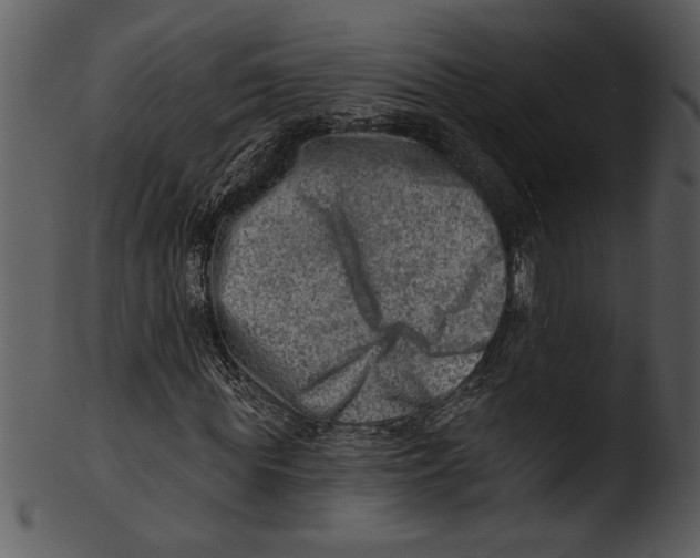 X0000103240819200809251325