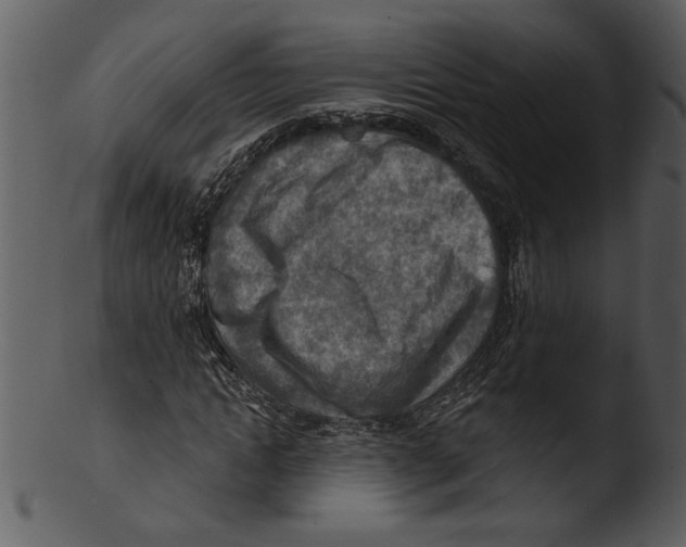 X0000103240822200809251325