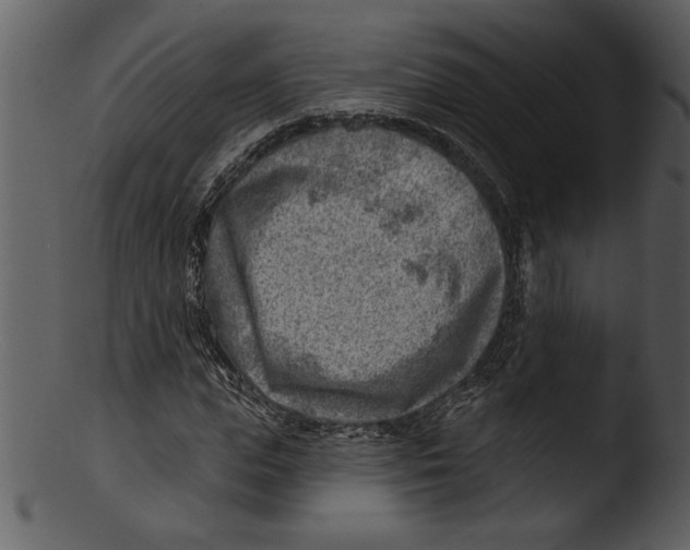 X0000103240823200809251325