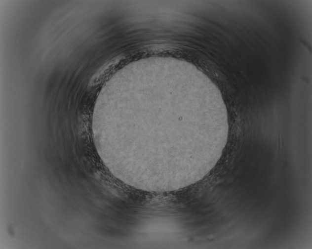 X0000103240824200809251325