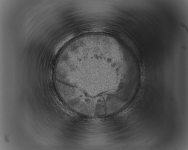 X0000103240827200809251325