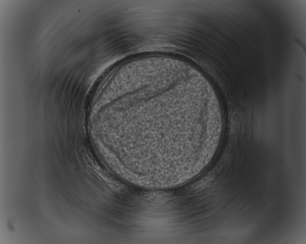 X0000103240830200809251325