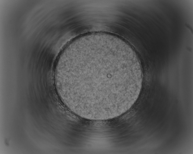 X0000103240832200809251325