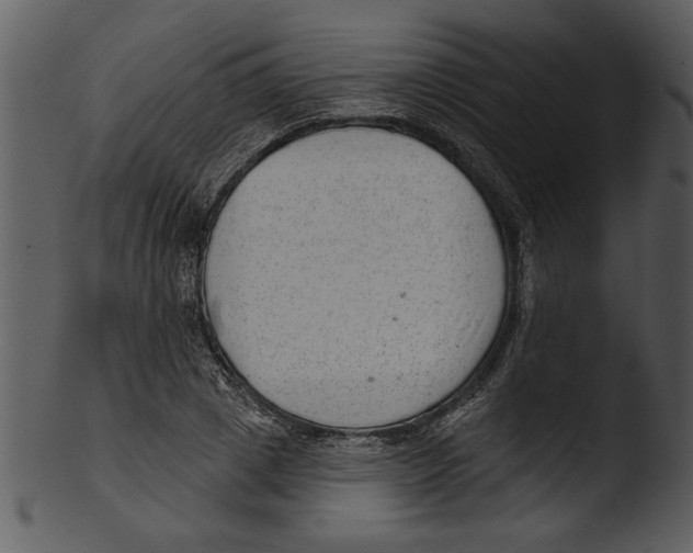 X0000103240833200809251325