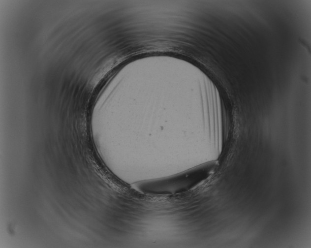 X0000103240834200809251325