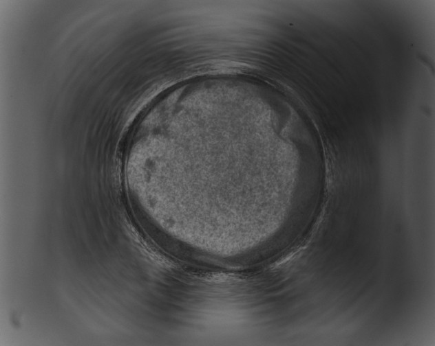 X0000103240835200809251325