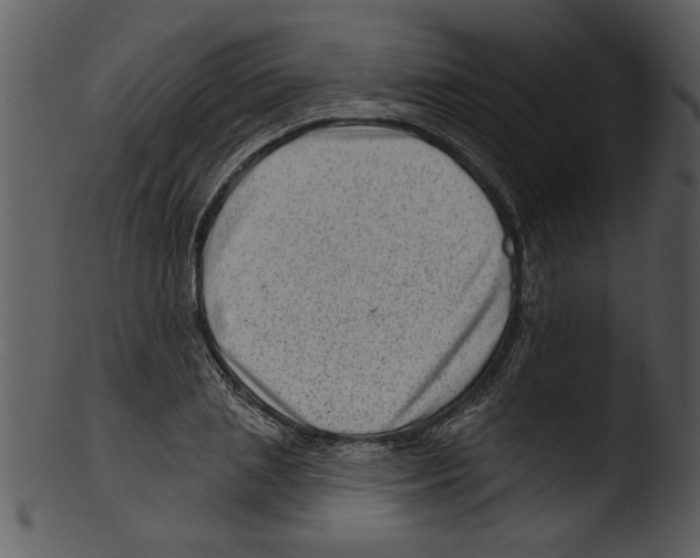 X0000103240837200809251325