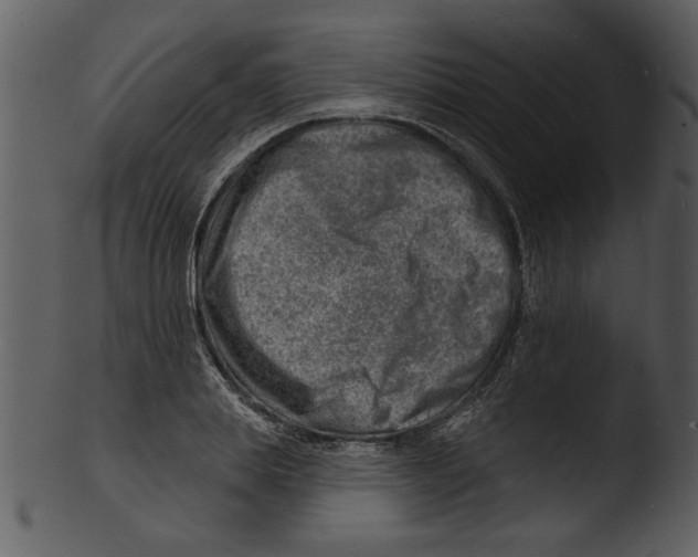 X0000103240839200809251325