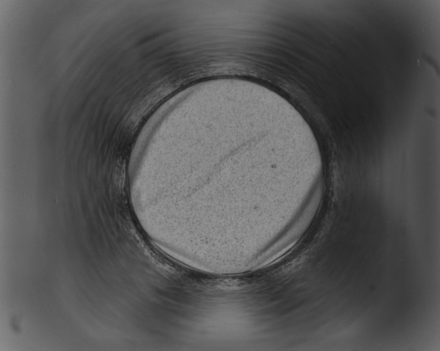 X0000103240841200809251325