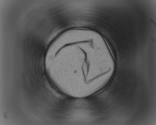 X0000103240842200809251325