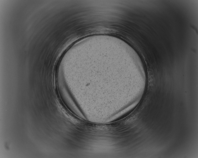 X0000103240843200809251326