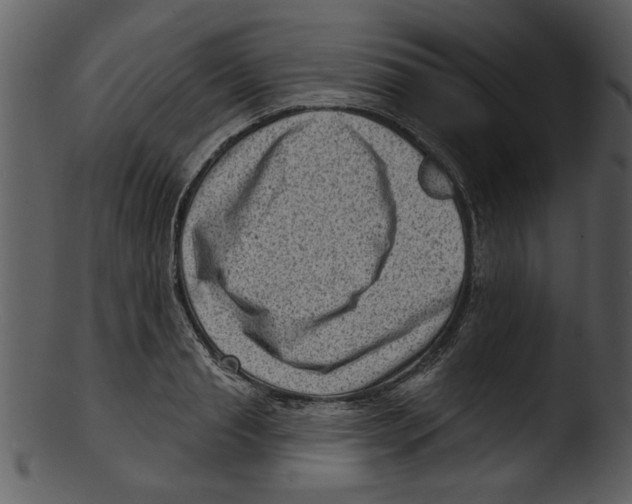 X0000103240845200809251326