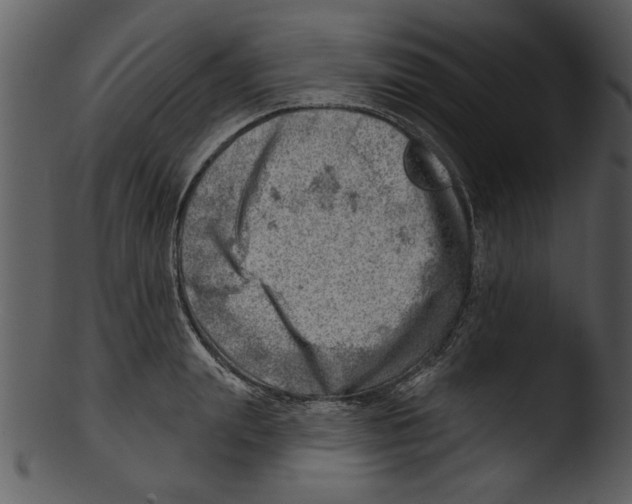 X0000103240847200809251326