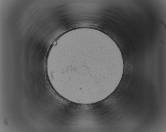 X0000103240848200809251326