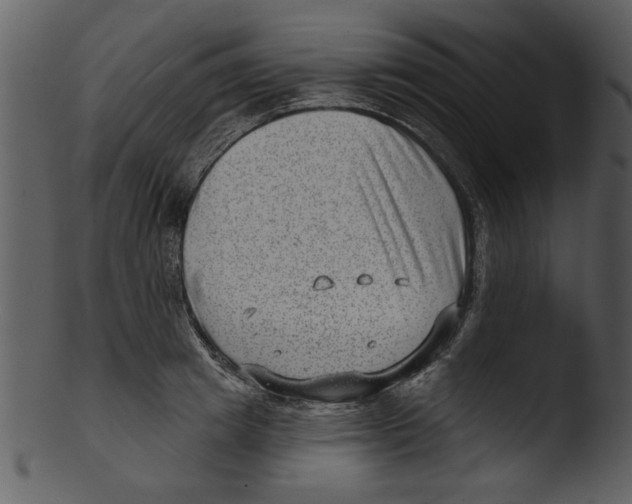 X0000103240849200809251326