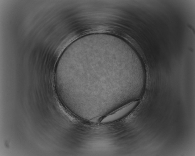 X0000103240850200809251326