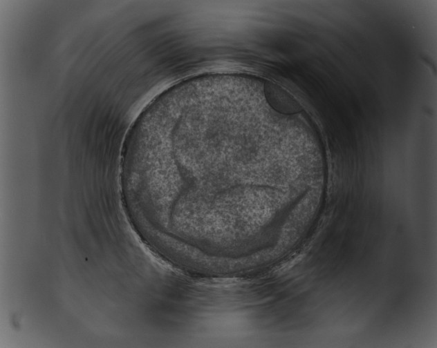 X0000103240853200809251326