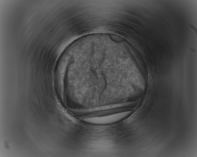 X0000103240854200809251326