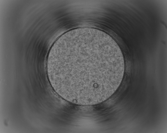 X0000103240856200809251326