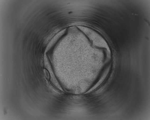 X0000103240857200809251326