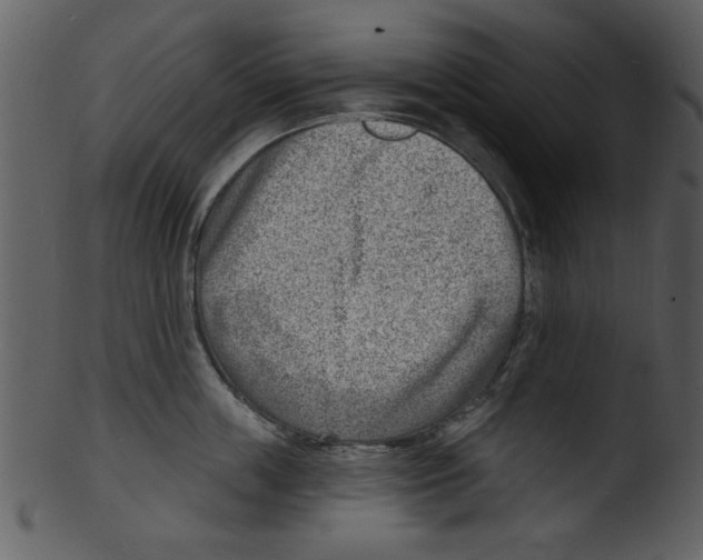 X0000103240859200809251326