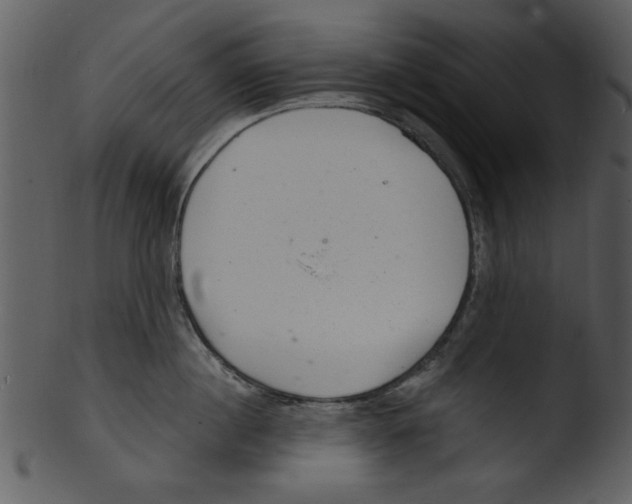 X0000103240860200809251326