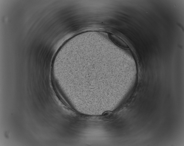 X0000103240861200809251326