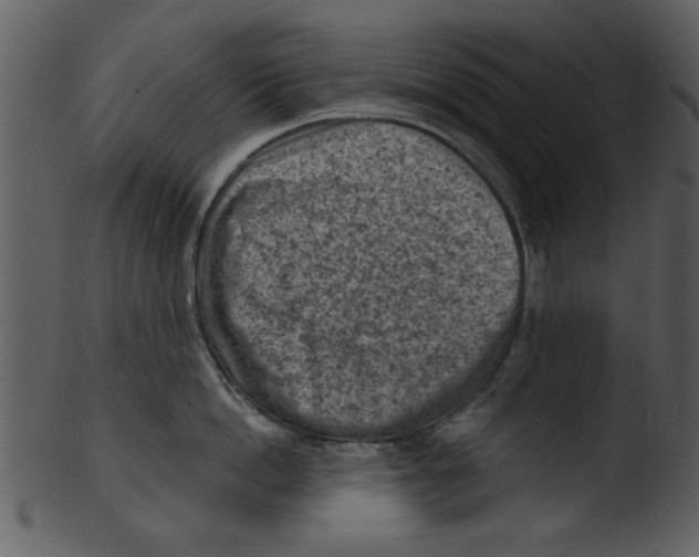 X0000103240862200809251326