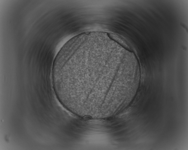 X0000103240863200809251326