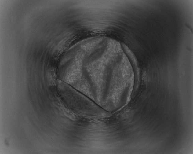 X0000103240868200809251325