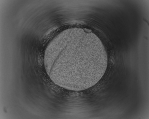 X0000103240869200809251325