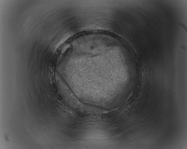 X0000103240871200809251325