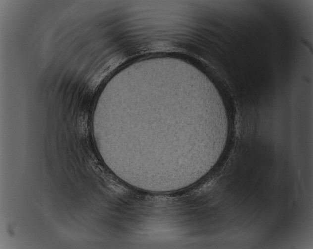 X0000103240873200809251325