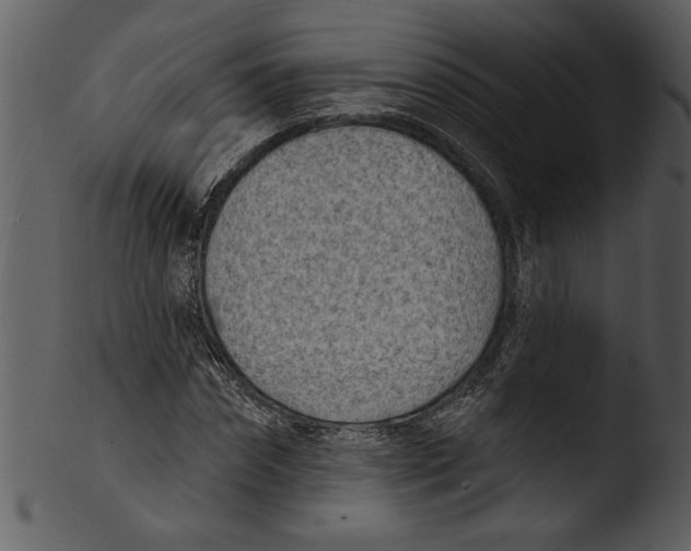 X0000103240874200809251325