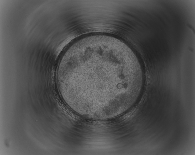 X0000103240875200809251325