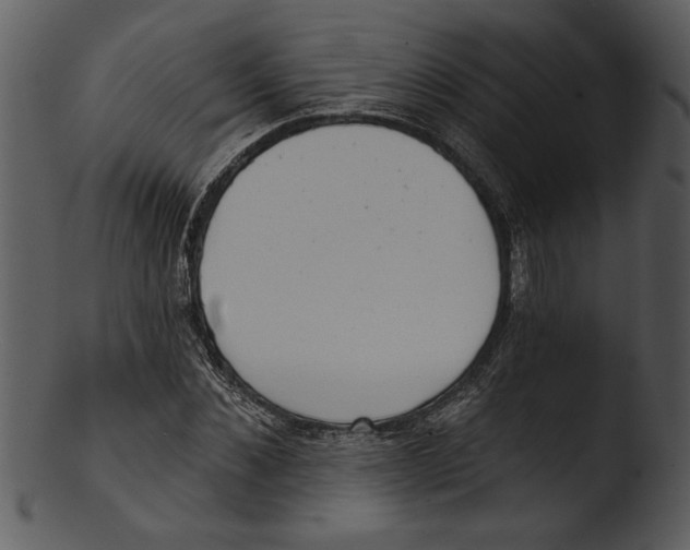 X0000103240876200809251325