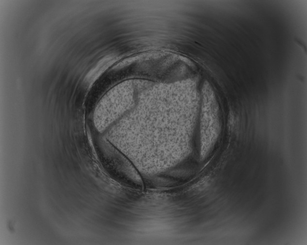 X0000103240877200809251325