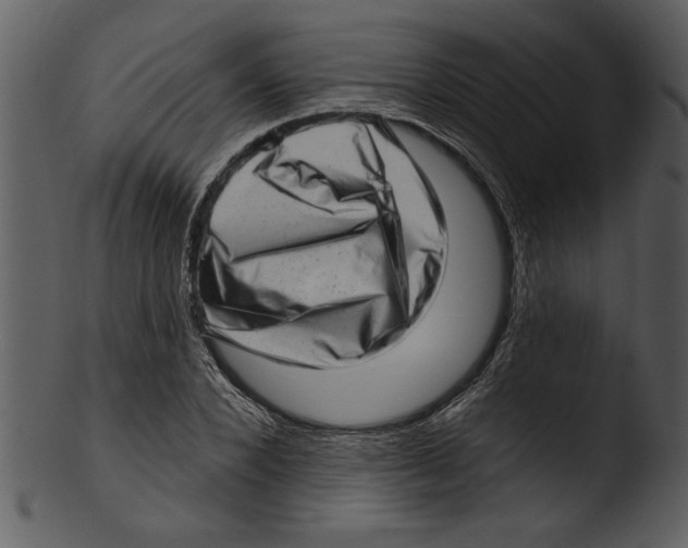 X0000103240880200809251325