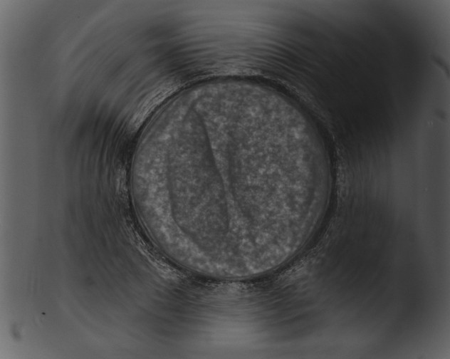 X0000103240881200809251325