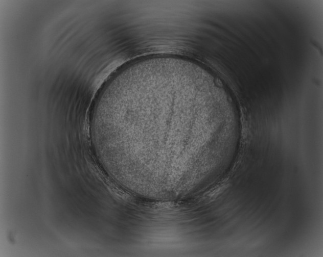 X0000103240883200809251325