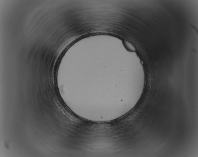 X0000103240884200809251325