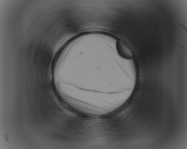 X0000103240885200809251325