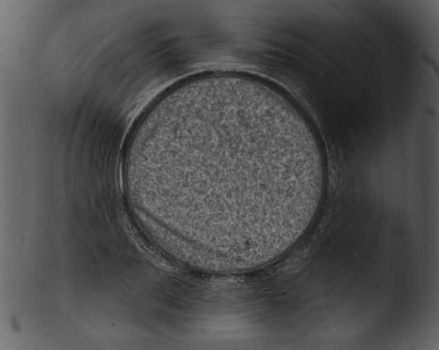 X0000103240887200809251325