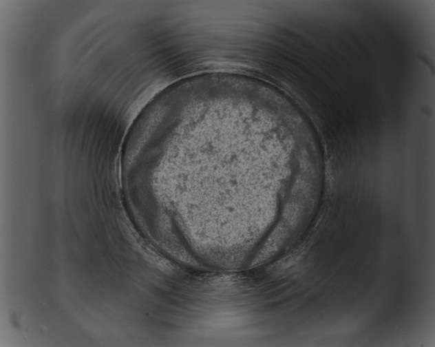 X0000103240891200809251325