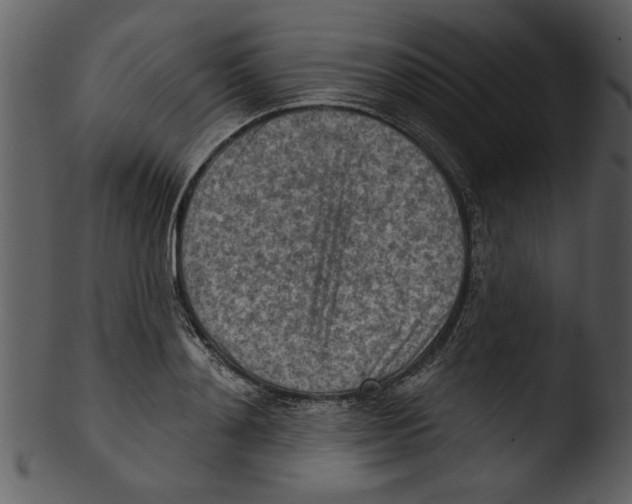 X0000103240892200809251325