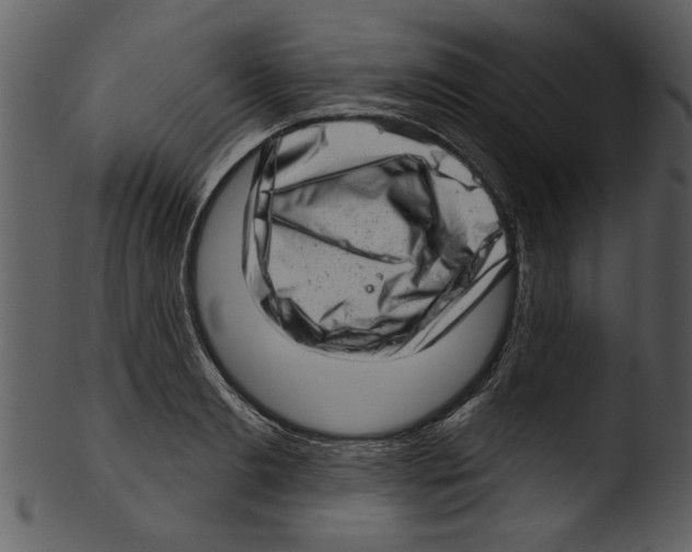 X0000103240893200809251325