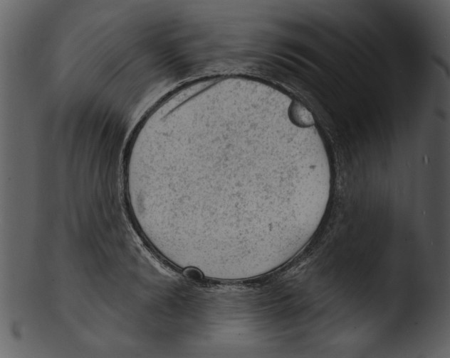 X0000103240894200809251325