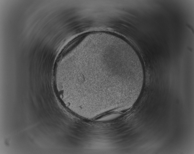 X0000103240895200809251325