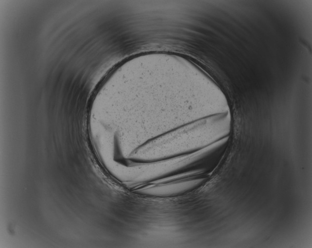 X0000103240896200809251325