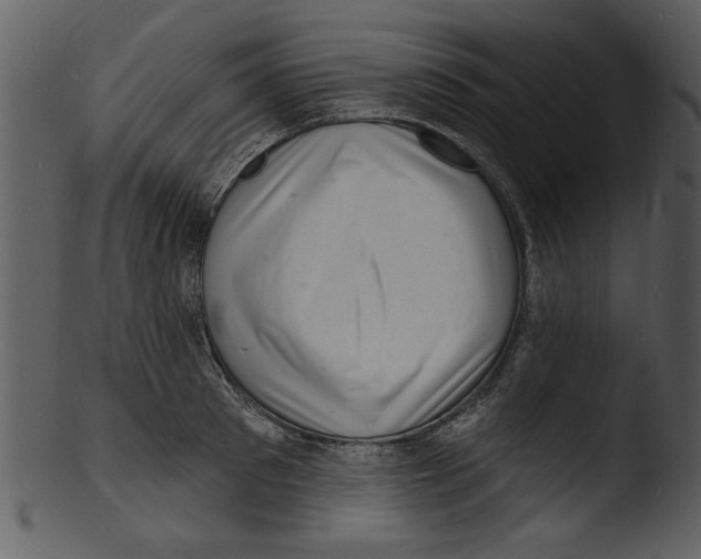 X0000103240897200809251325